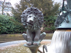 lion